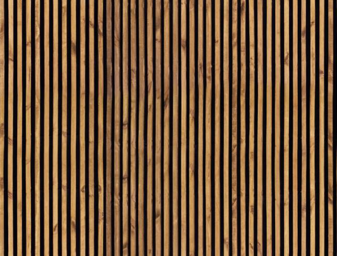 Fototapeta Panele drzewo paski 3D