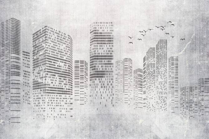 Fototapeta Szara ściana ptaki miasto
