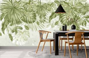 Wybierz Fototapeta liście Monstera  na ścianę