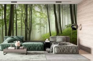 Wybierz Fototapeta Ścieżki w zielonym lesie Fototapeta natura na ścianę
