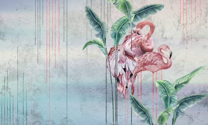 Fototapeta Flamingi rożowe