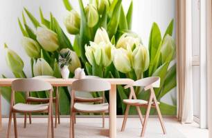Wybierz Fototapeta tulipany Tulipany na ścianę