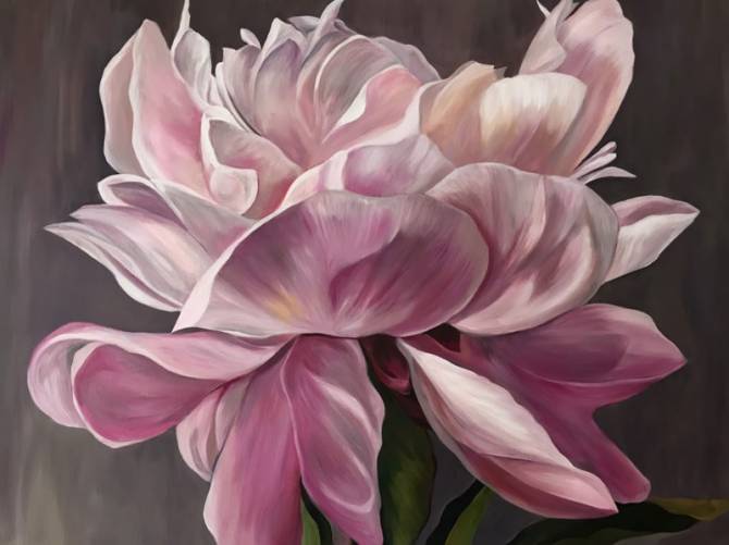Fototapeta Kwiatka magnolii rożowa