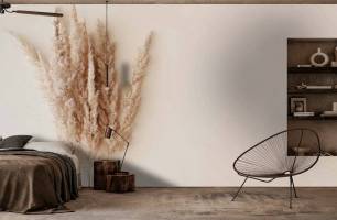 Wybierz Fototapeta Beżowe trzciny boho Styl boho na ścianę