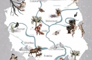 Wybierz Fototapeta Mapa dla dzieci Mural na ścianie dla szkoły na ścianę